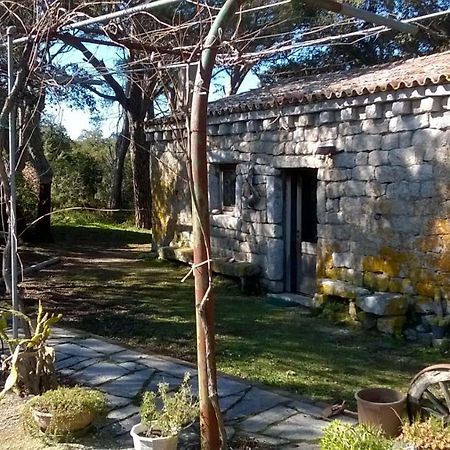 Agriturismo La Vigna Tempio Pausania Esterno foto