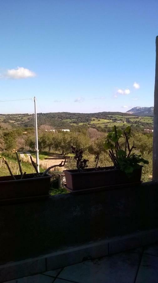Agriturismo La Vigna Tempio Pausania Esterno foto