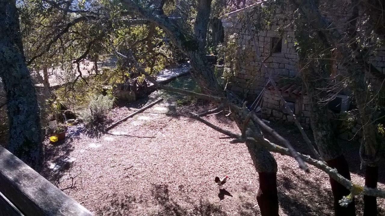 Agriturismo La Vigna Tempio Pausania Esterno foto