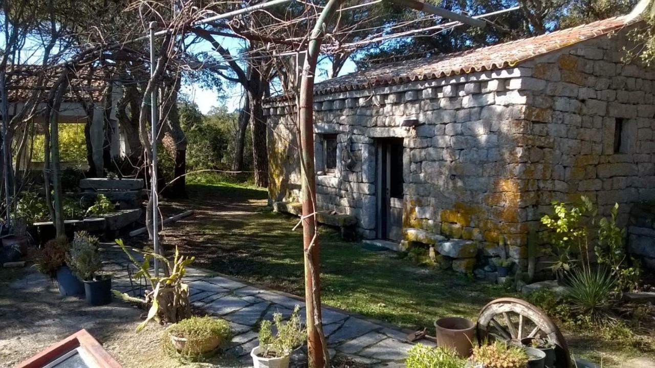 Agriturismo La Vigna Tempio Pausania Esterno foto