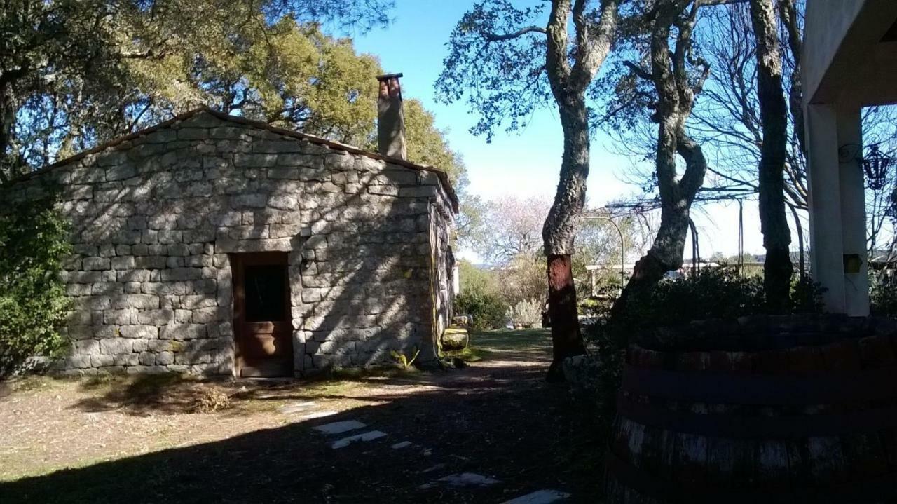 Agriturismo La Vigna Tempio Pausania Esterno foto