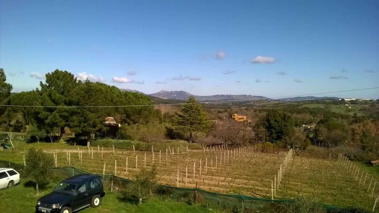 Agriturismo La Vigna Tempio Pausania Esterno foto