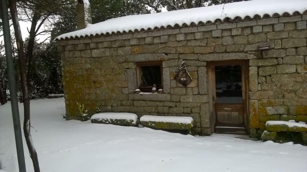 Agriturismo La Vigna Tempio Pausania Esterno foto