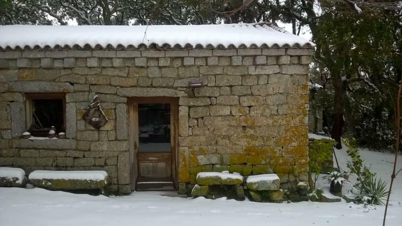 Agriturismo La Vigna Tempio Pausania Esterno foto