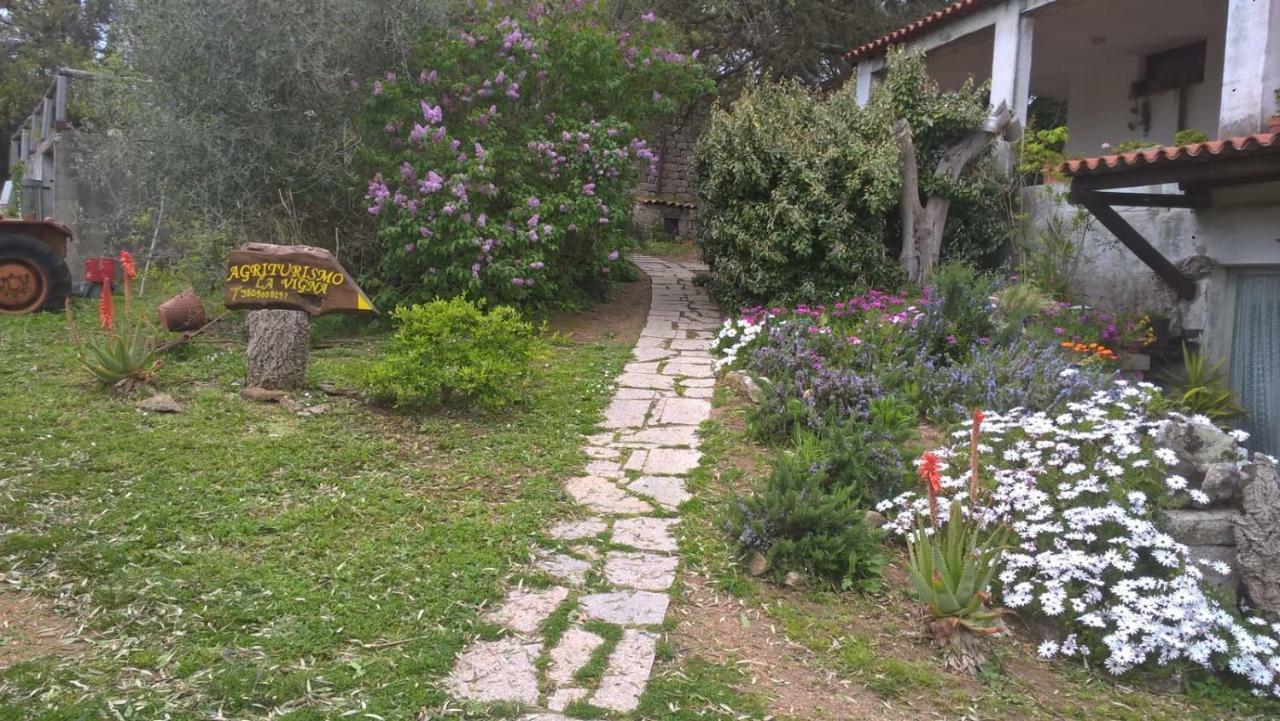 Agriturismo La Vigna Tempio Pausania Esterno foto